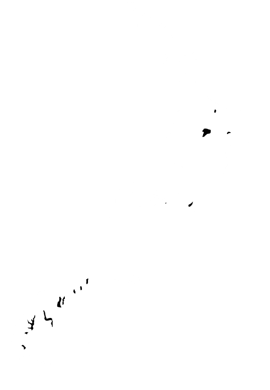Aotearoa